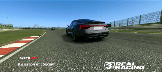 real racing3