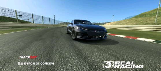 real racing3