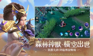 arena of valor